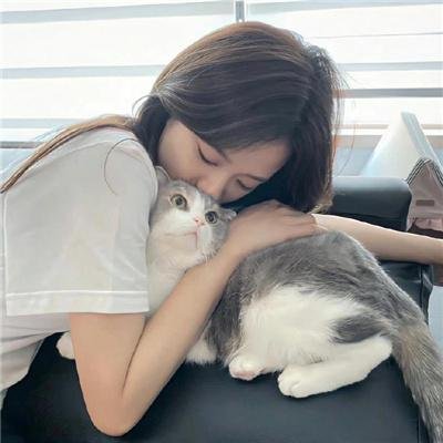 情结 封面